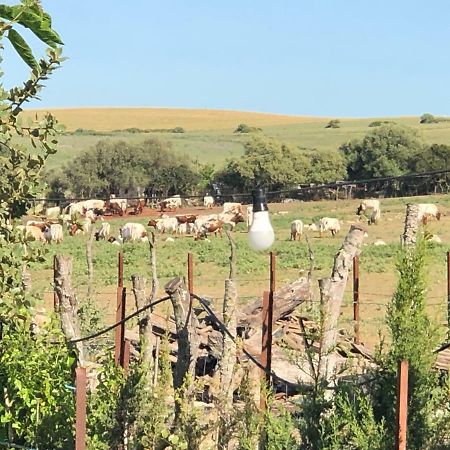 Отель Alojamiento Rural El Soldao Медина-Сидония Экстерьер фото