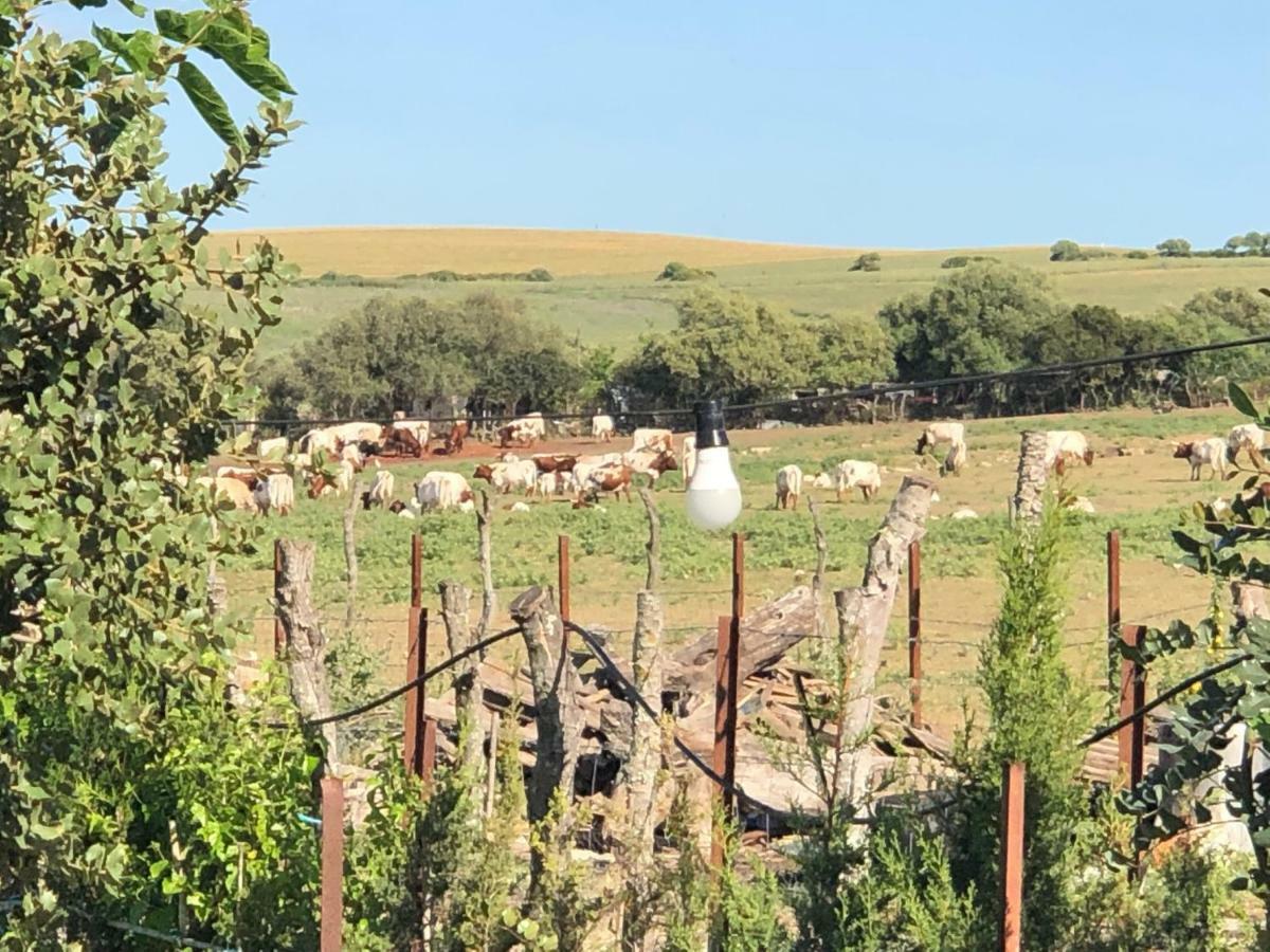 Отель Alojamiento Rural El Soldao Медина-Сидония Экстерьер фото